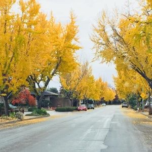 Meet your Posher, RP